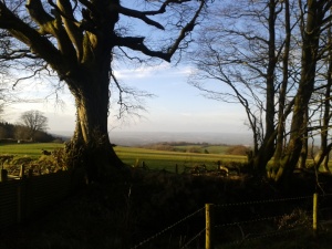Blackdown Hills